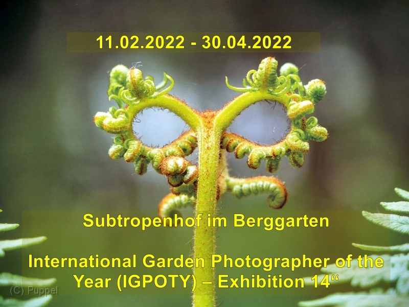 2022/20220205 Berggarten Fotoausstellung IGPOTY/index.html
